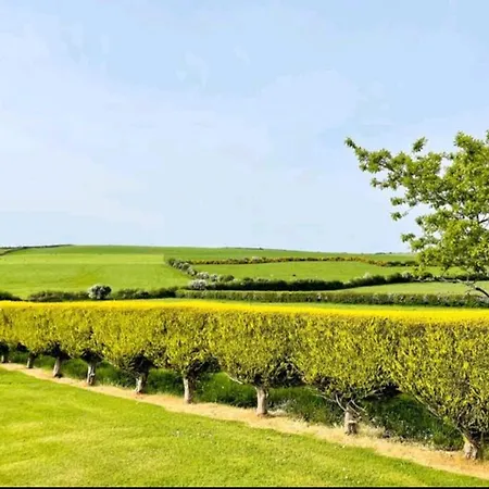 홈스테이 Green Haven V93p230 *