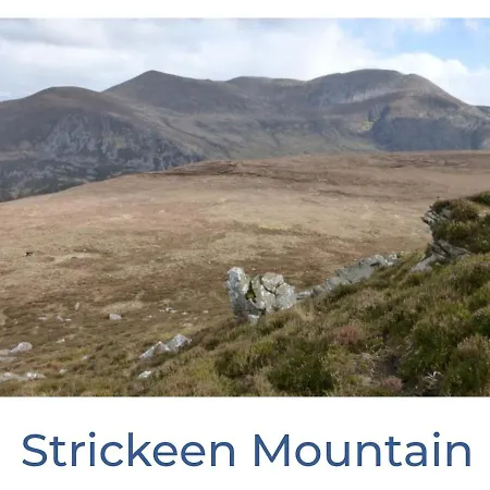 홈스테이 Green Haven V93p230