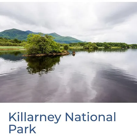 Green Haven V93p230 Killarney