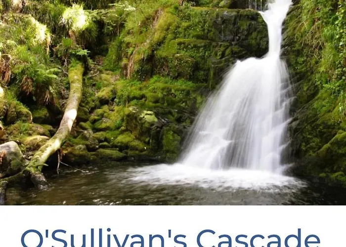 Quarto em Acomodações Particulares Green Haven V93p230 Killarney