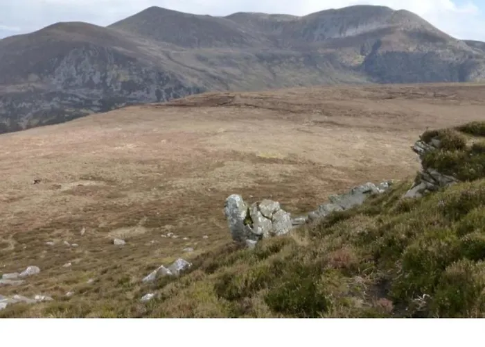 Séjour chez l'habitant Green Haven V93p230